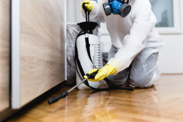 Best Termite Control Services  in Lufkin, TX