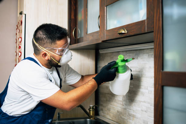 Insect Control in Lufkin, TX