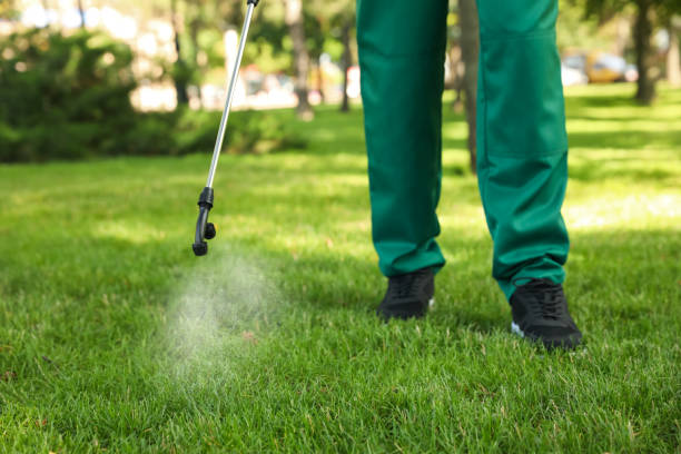 Wasp Removal Services in Lufkin, TX