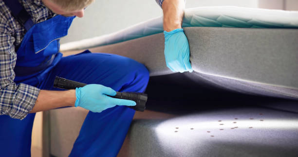 Best Bed Bug Extermination  in Lufkin, TX