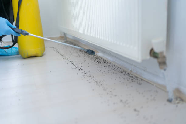 Lufkin, TX Pest Control Company